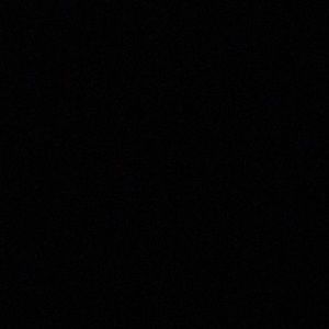 Meet your Posher, Kinsleigh